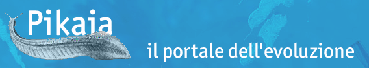 logo_pikaia_new.gif