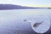 Una nuova foto prova l'esistenza del Mostro di Loch Ness?