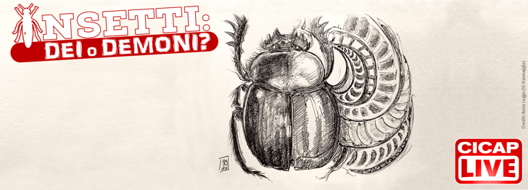 CICAP Live: Insetti: Dei o Demoni? (con Fulvio Giachino)