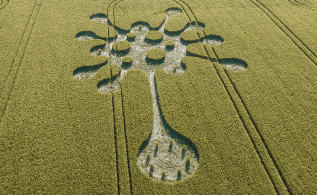 COVID-19 e cerchi nel grano. La cura in una decodifica?