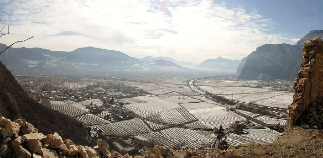 Draghi italiani parte II: il Basilisco di Mezzocorona e i draghi della Val D’Ossola