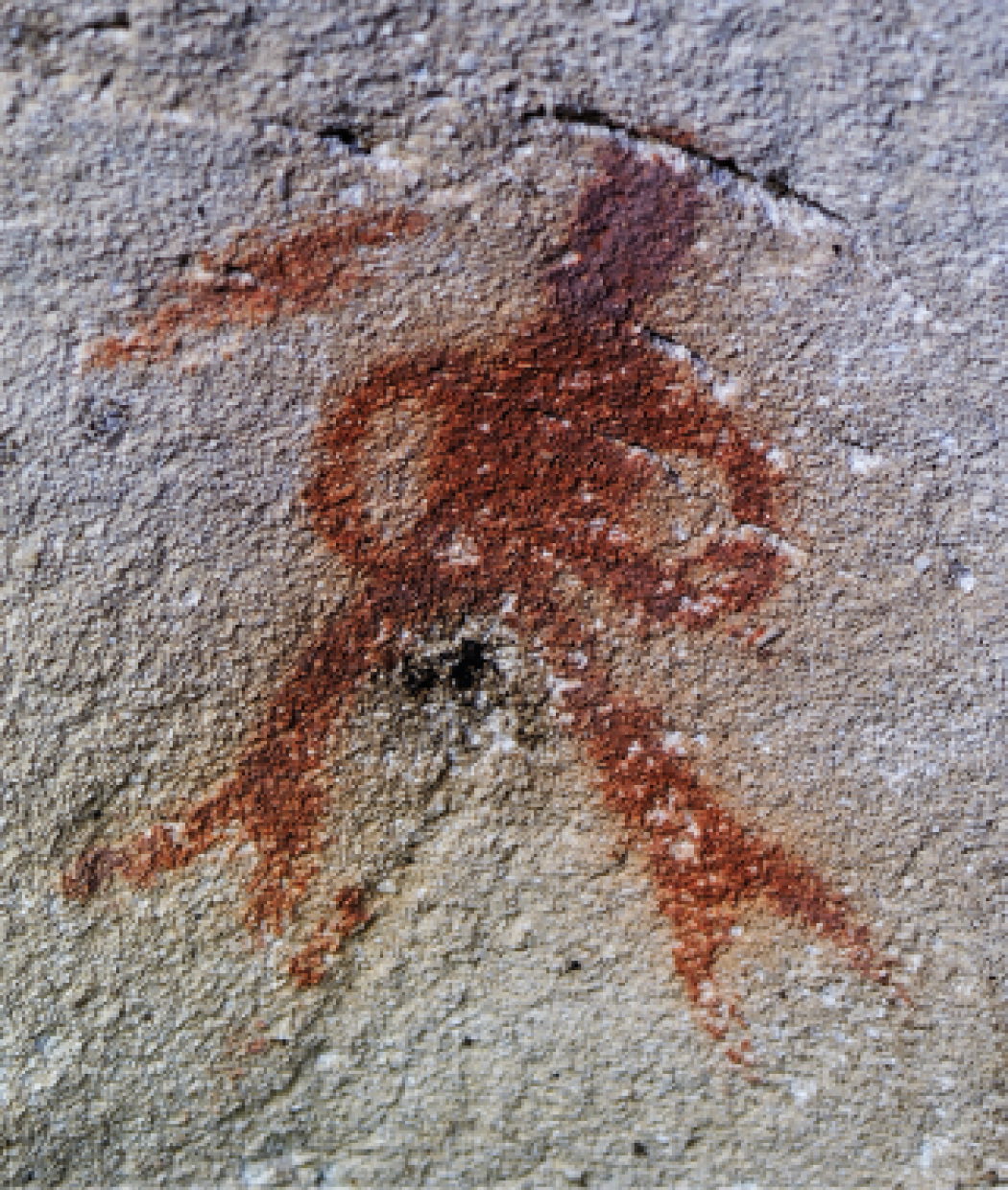 Il canto della donna-pesce