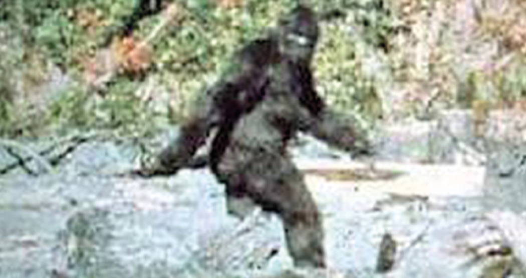 Alla ricerca di Bigfoot