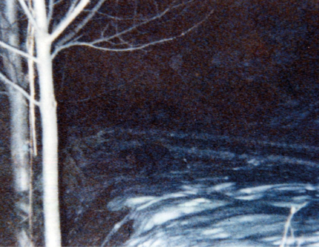 Il ritorno delle fate