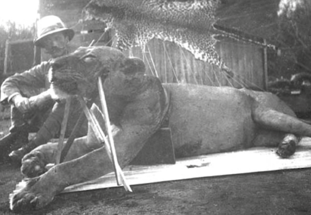 I divoratori di uomini dello Tsavo