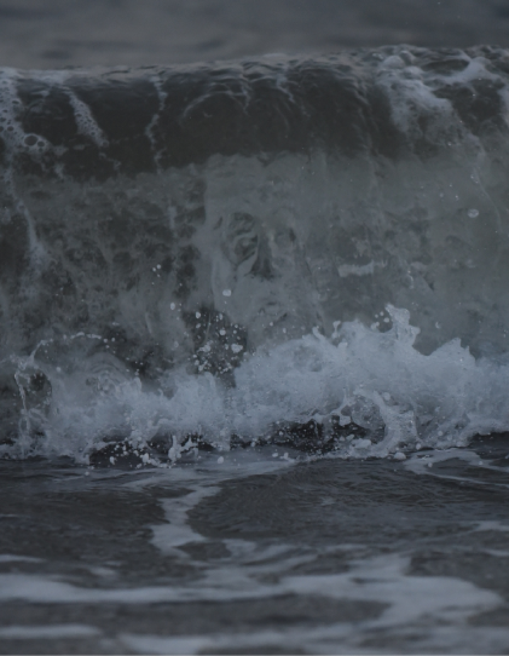 Una faccia che non dimenticherai facilmente