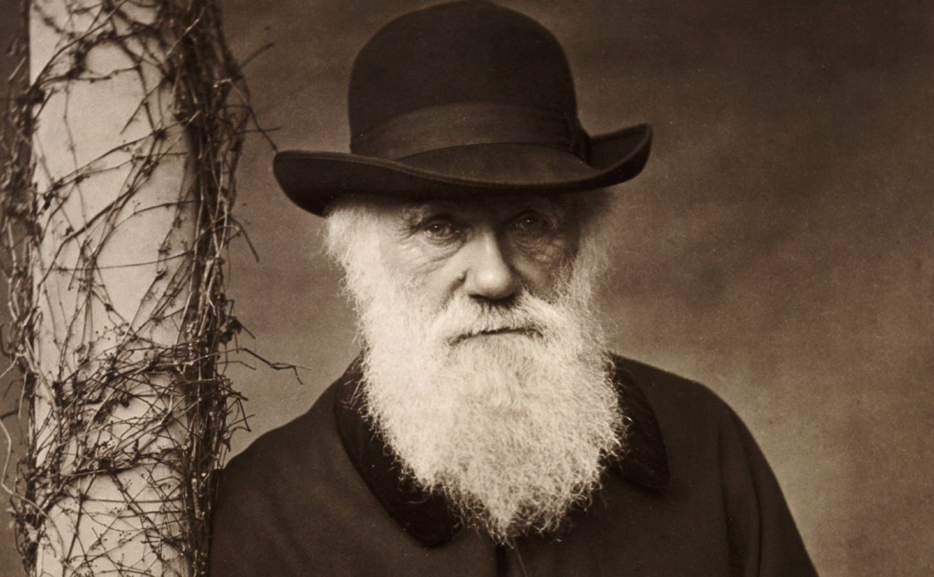 Darwin a scuola
