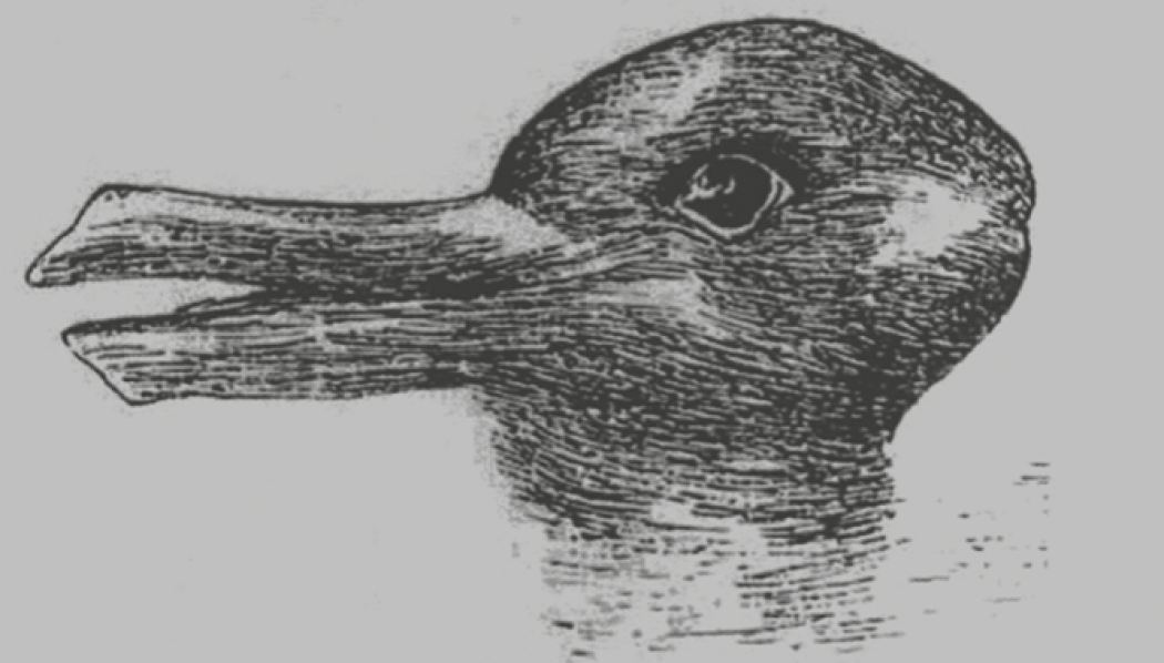 L'importanza dei nostri errori