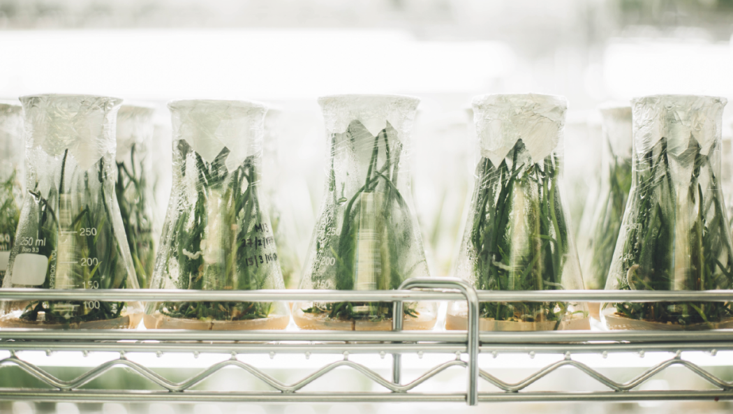 Scienza e società: crescono analfabetismo e ambivalenza, dice Observa