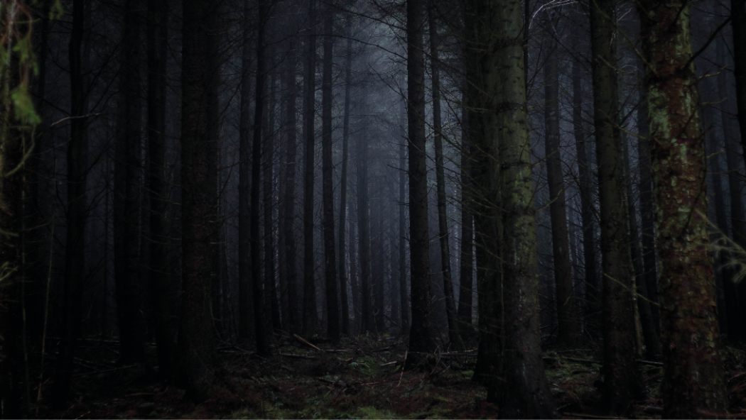 L'allegra storia della Tarasca e di Santa Marta domatrice