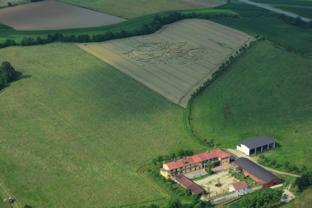 Rubik vs pareidolia 2.0