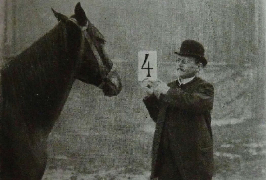 Storia di un cavallo e dell'uomo che gli insegnò a contare