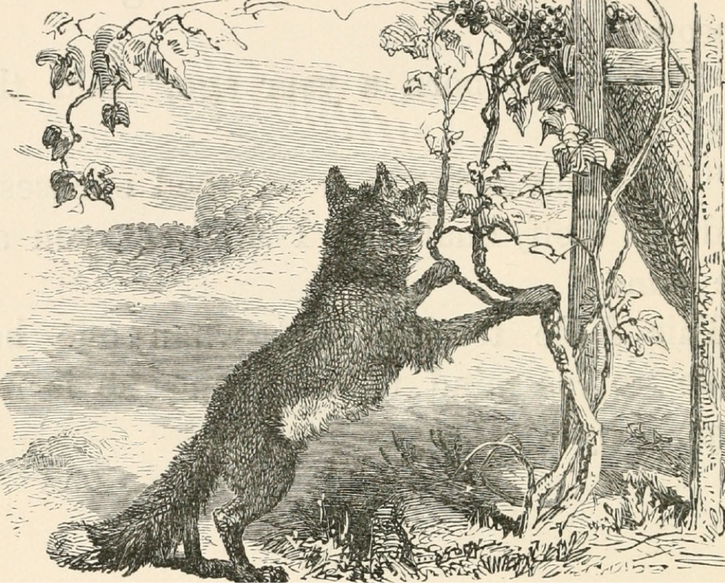 La dissonanza cognitiva