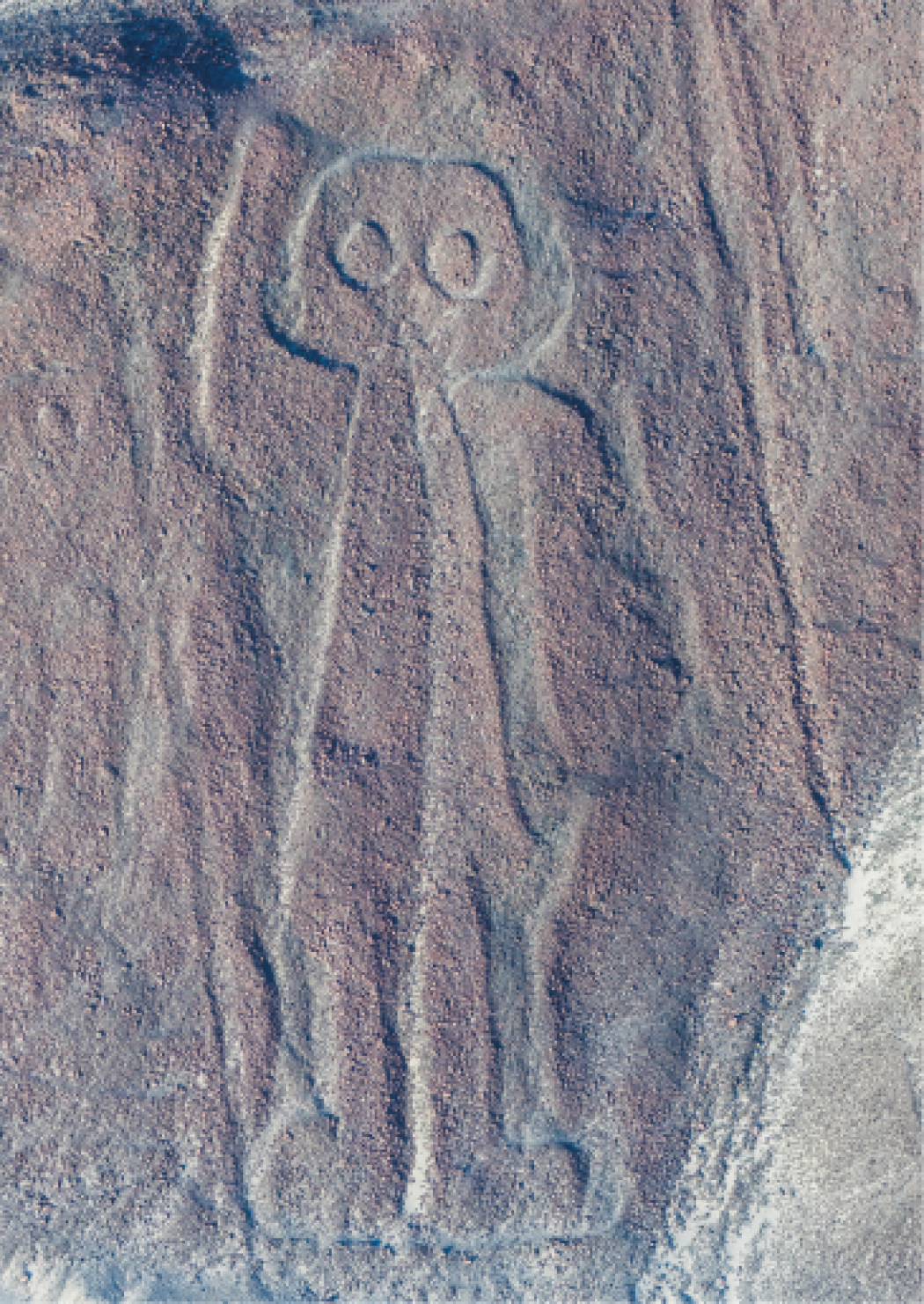 Linee di Nazca scoperte dall’intelligenza artificiale? Non proprio...