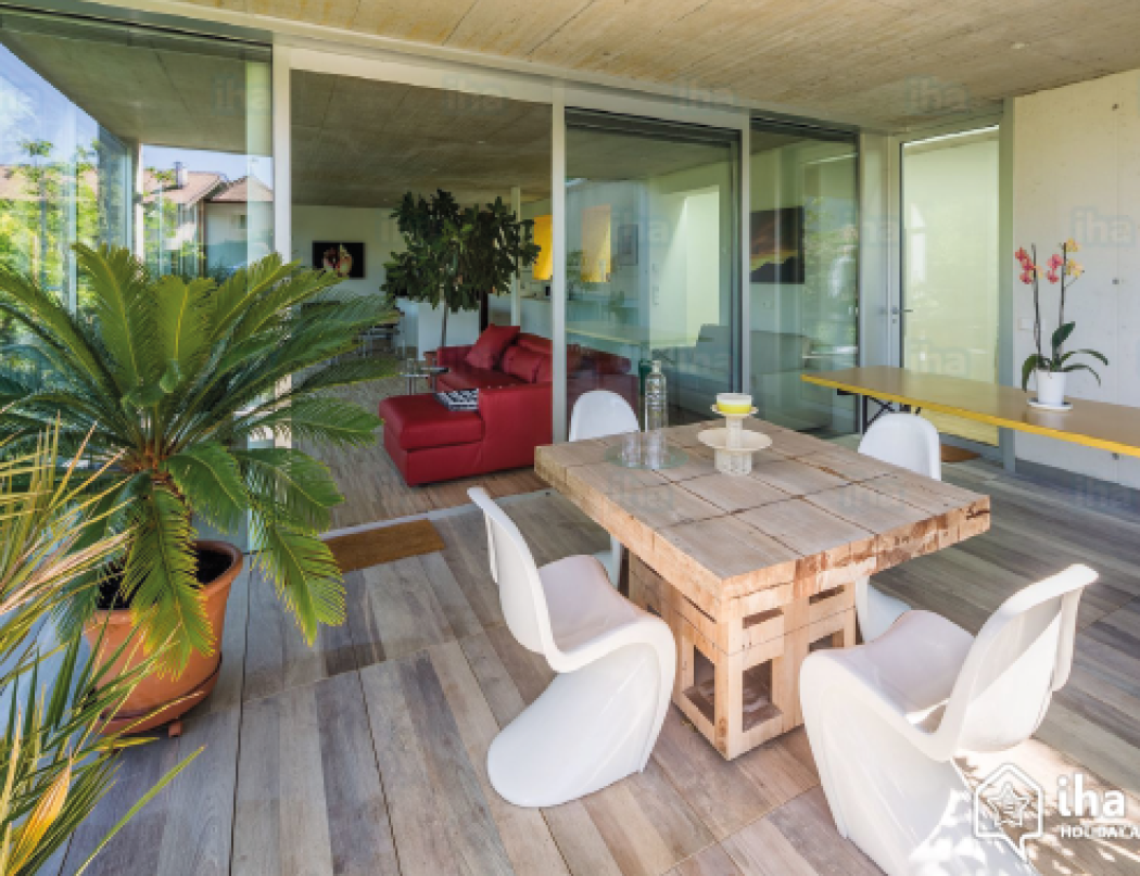 La leggenda delle piante che "ripuliscono" l'aria