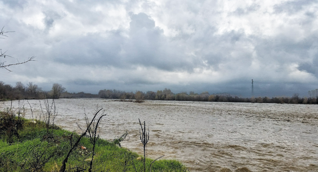 Diffidare delle intuizioni