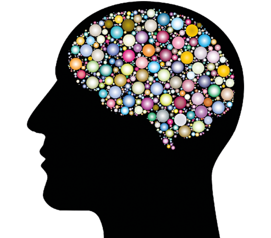 Il mito del cervello tripartito