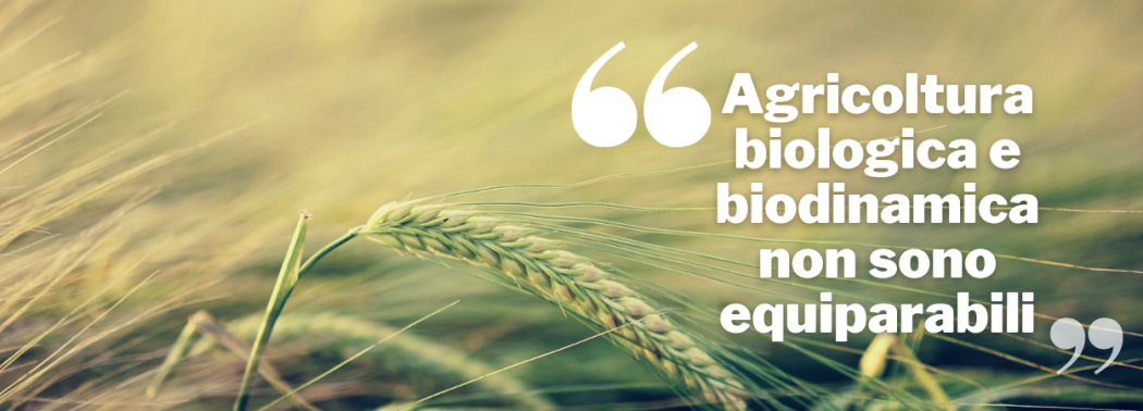 L'agricoltura biodinamica: l'antenata magica dell'agricoltura biologica