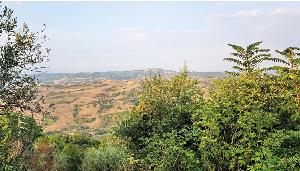 Origine del culto popolare di Vincenzo Camuso