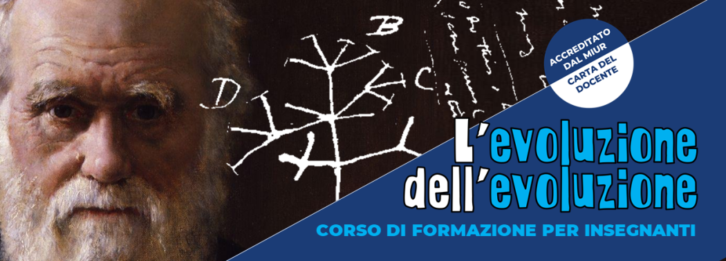 L'evoluzione dell'evoluzione