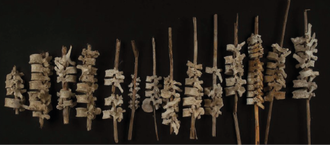 Il mistero delle vertebre Chincha infilzate su pali