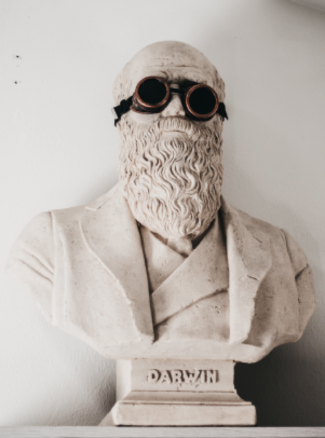 Il complicato rapporto tra religiosità e antidarwinismo