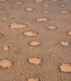 Nuove ipotesi sui cerchi delle fate del Namib