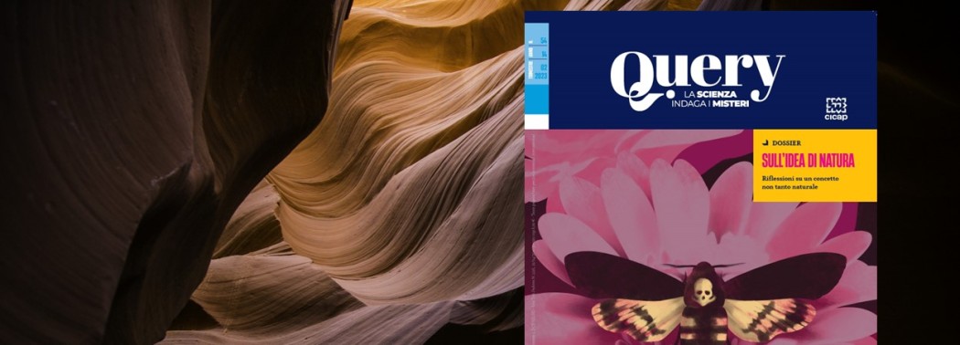 Query n. 54