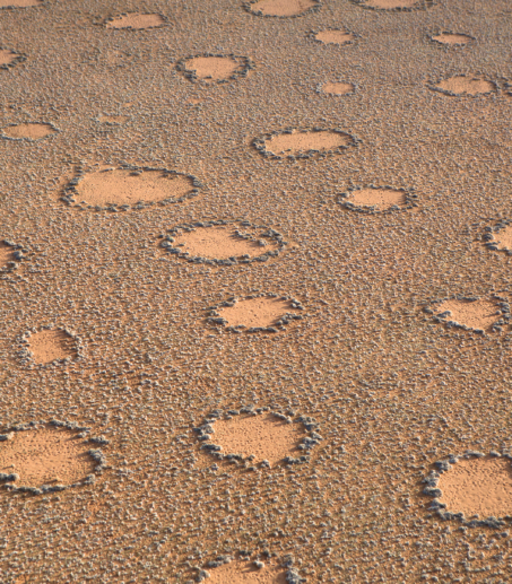 Nuove ipotesi sui cerchi delle fate del Namib