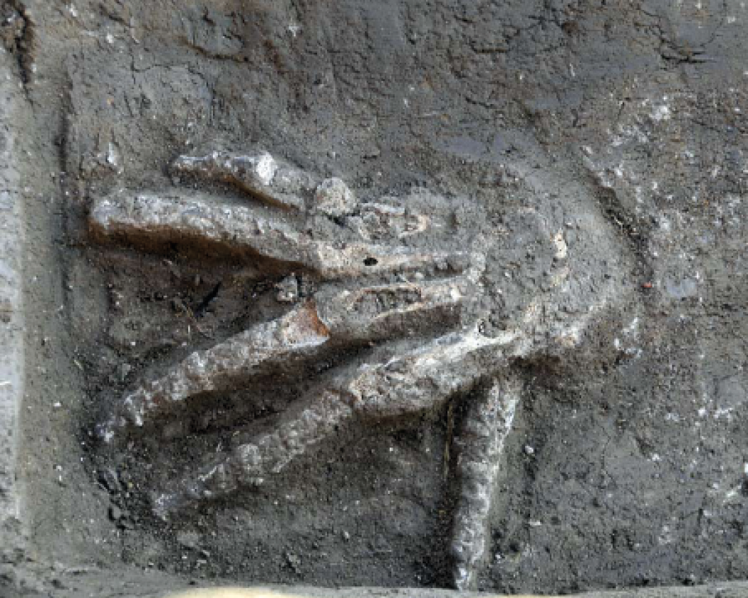 Mani mozzate di nemici sconfitti