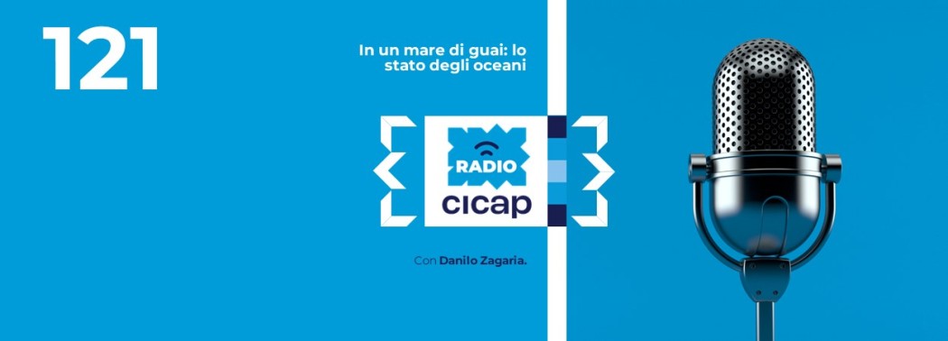In un mare di guai: lo stato degli oceani, con Danilo Zagaria
