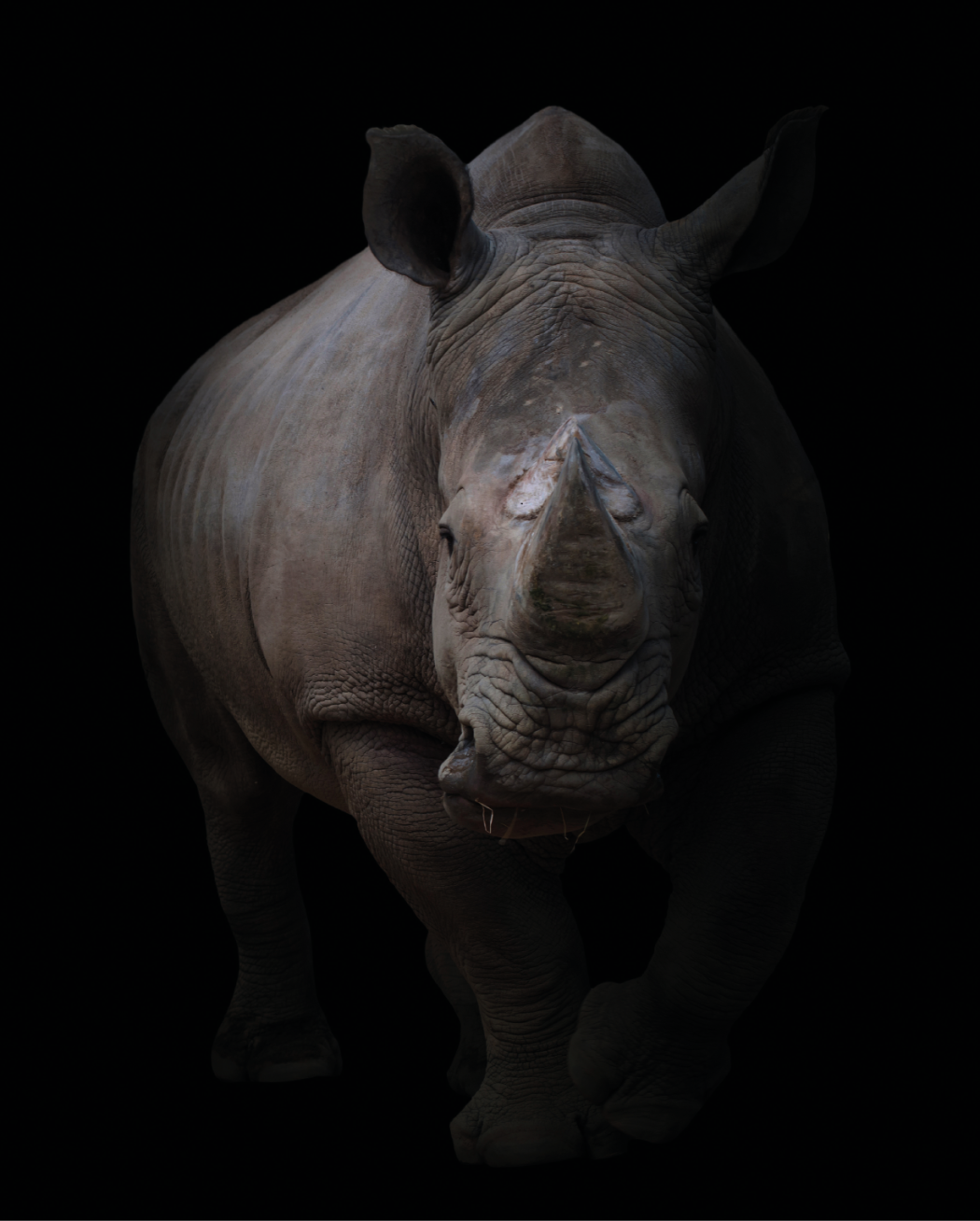 Superstizioni che uccidono