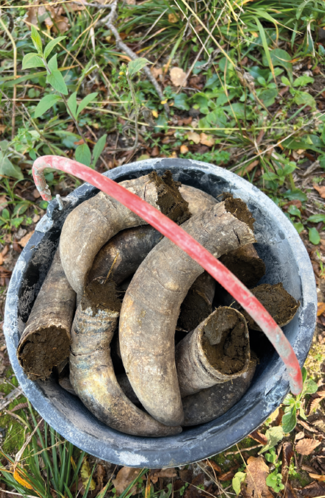 Un’altra smentita dell’efficacia della biodinamica