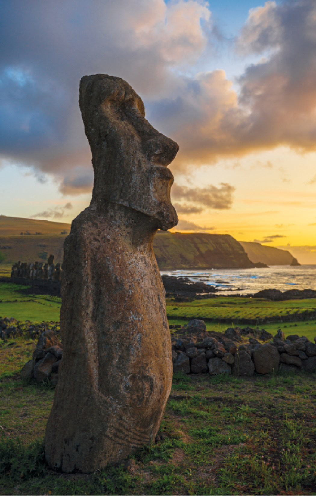 Nessun collasso ambientale nell’isola di Pasqua